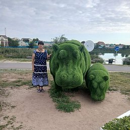 ������, ������ �����, 61 ���