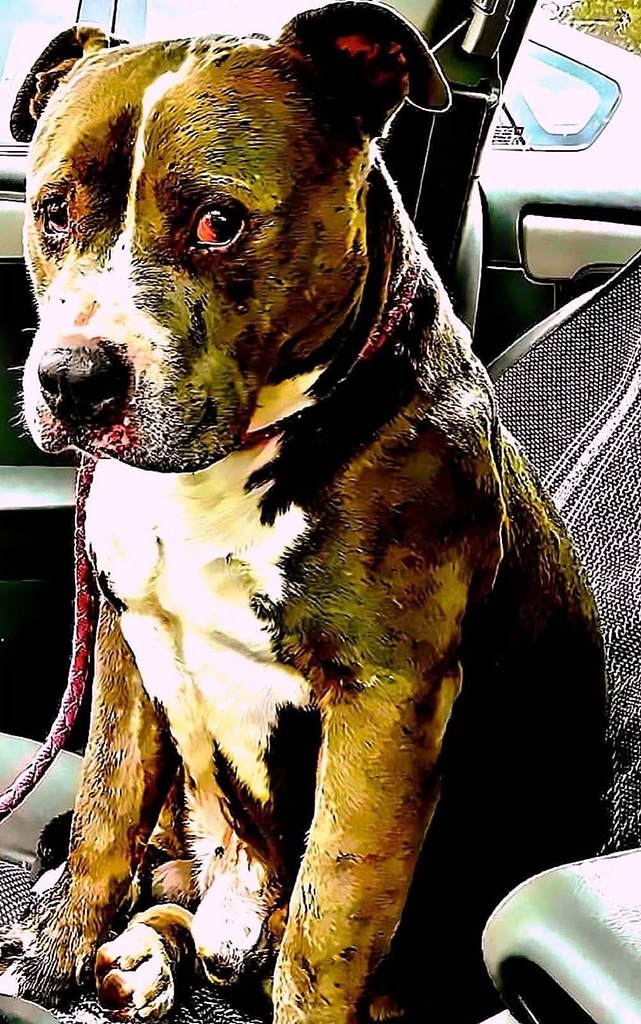 :)         .     ,   ,  ...