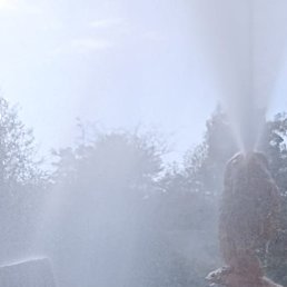 ����, ���������, 42 ����