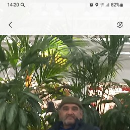 , 53, 