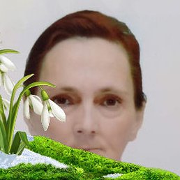 �������, ������, 45 ���