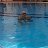 ���� Raghdan, ����, 56 ��� - ��������� 10 ���� 2026