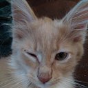 ���� ����, ������, 48 ��� - ��������� 23 ������ 2023 � ������ ���� ����������