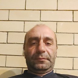 , 42, 