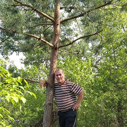 �����, 49 ���, ����