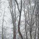 ���� �����, ����, 26 ��� - ��������� 16 ���� 2025 � ������ ���� ����������