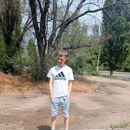 , 32, 