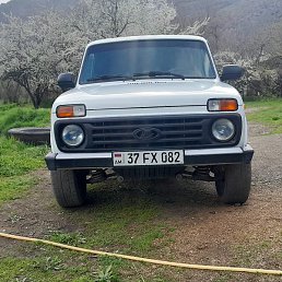 ���, ����, 41 ���