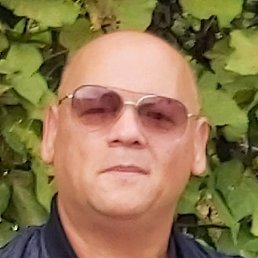 ��������, ������, 65 ���