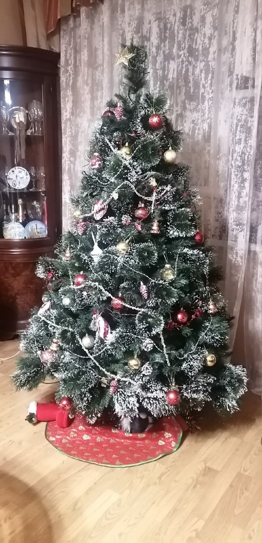  ,     -  ..      ?!))     ...