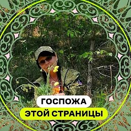 �������, ������, 67 ���