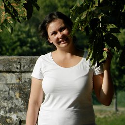 ����, 41 ���, ����