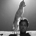 ���� �������� ���������, �����-���������, 46 ��� - ��������� 29 ������� 2024 � ������ ���� ����������