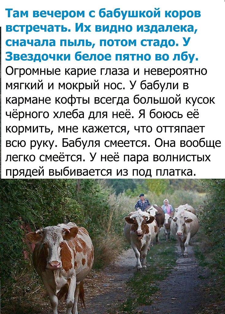  , !() - 26  2025  06:43 - 3