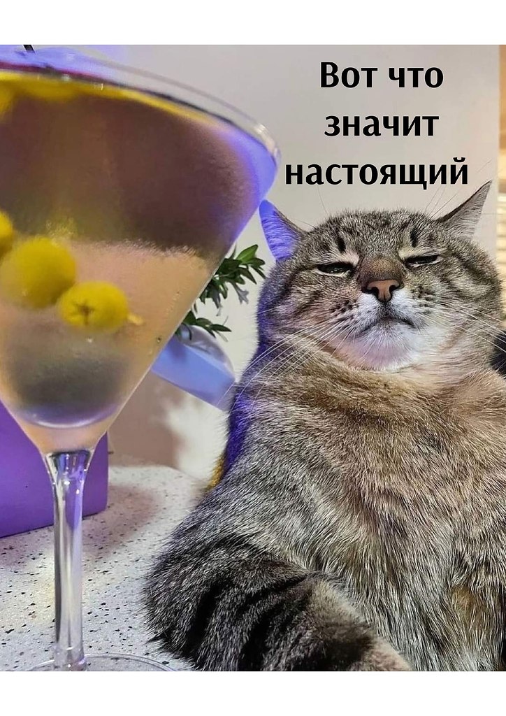       - 28  2025  22:04 - 3