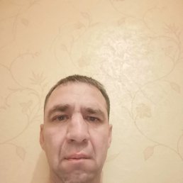 ������, 48 ���, ����