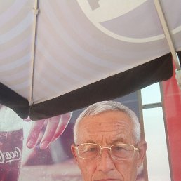 , 61, 