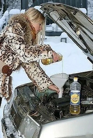 �� ����� - ������������� ������ �1 - 13 ���� 2025 � 16:57