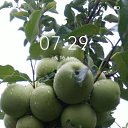 ���� ����, ������, 43 ���� - ��������� 21 ������� 2023 � ������ ���� ����������