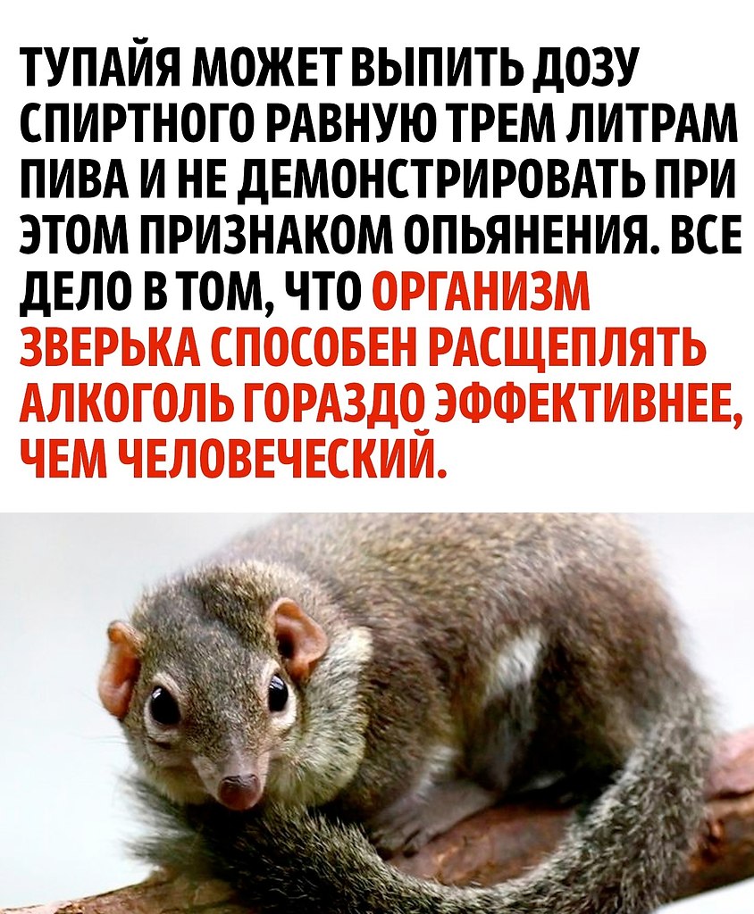       - 3