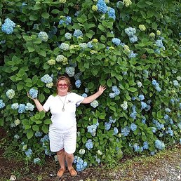 A����, ����������, 61 ���