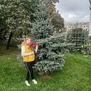 ���� �������, �����-���������, 51 ��� - ��������� 19 ������� 2025 � ������ ���� ����������