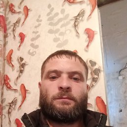  39, 39, 