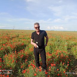 �������, ������, 59 ���