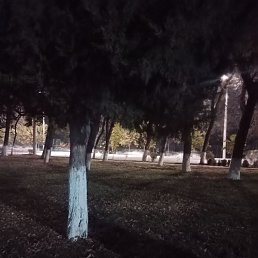 Kamolbek, �����, 25 ���