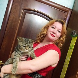 �����, ������