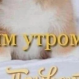 �������, �������, 37 ���