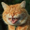 ���� ������, �����-��������� - ��������� 21 ������ 2025 � ������ ������ ��������