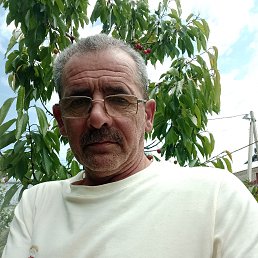 , 58,  