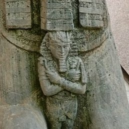 ��������, ������, 79 ���