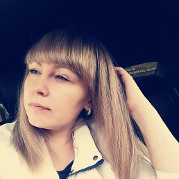 ��������, 41 ���, ������