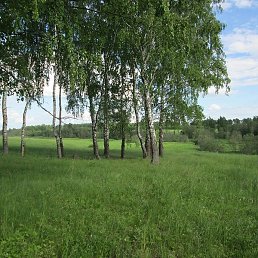 ��������, ������, 69 ���