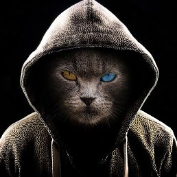 �����, ����-���, 50 ���