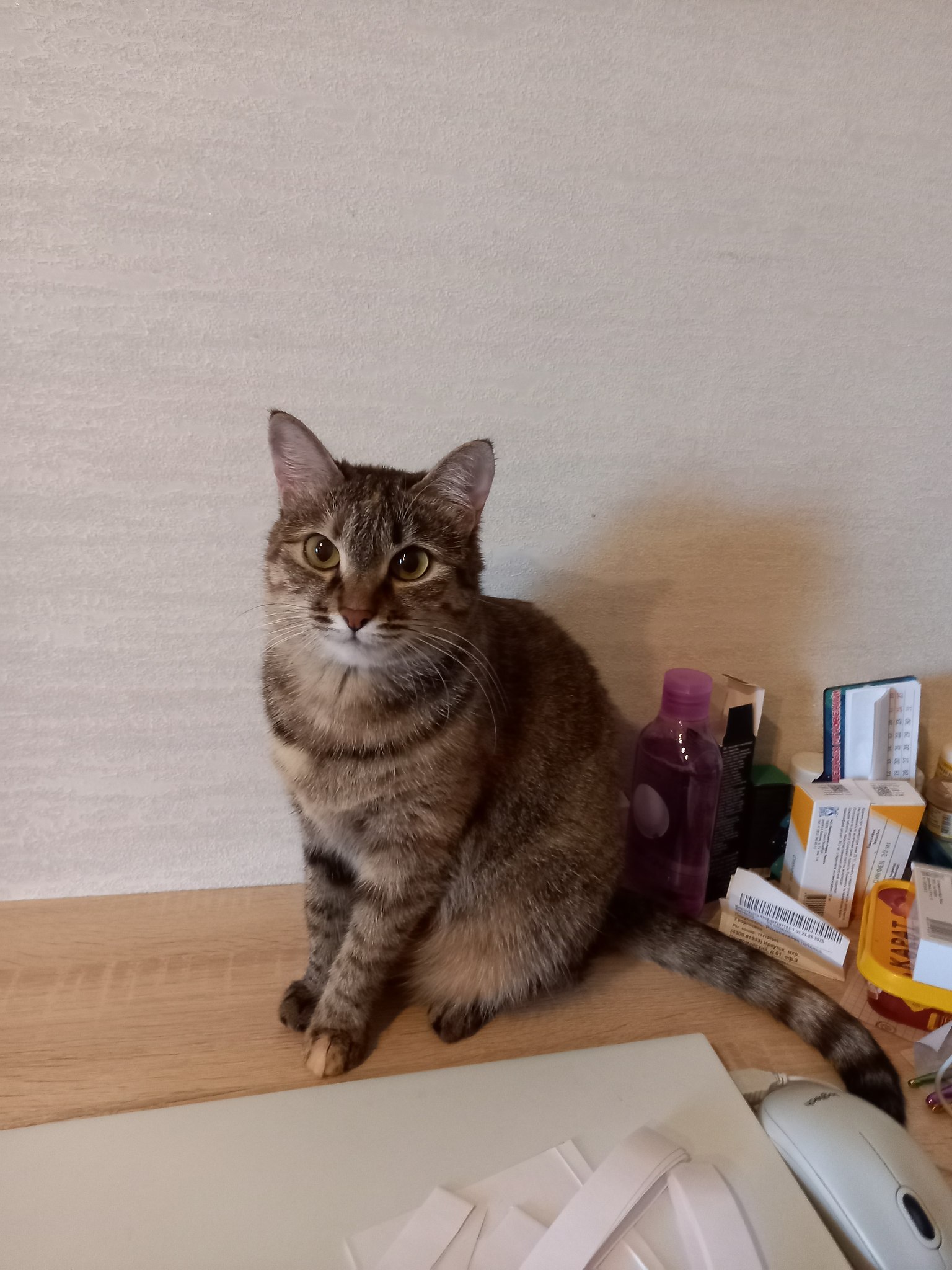 Nataly - 16  2025  11:51