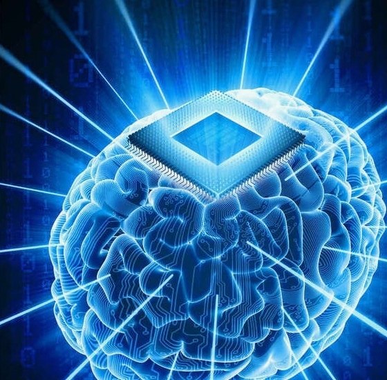      :   Neuralink   ... - 2