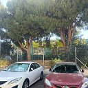 ���� �����, ������, 85 ��� - ��������� 25 ���� 2024