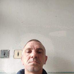 �������, ����������, 43 ����