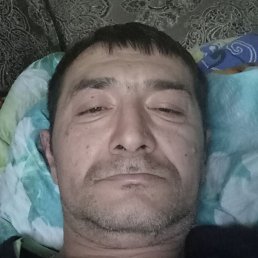 ������ ���, �����������, 44 ����