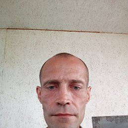 , 41, 