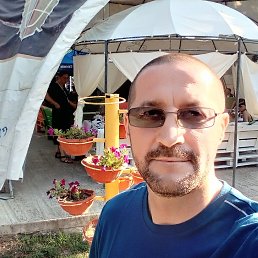 , 43, 