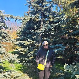 �������, ���������, 56 ���