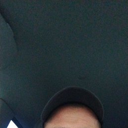 ������, 44 ����, �����������