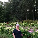���� ����, ������, 65 ��� - ��������� 19 ������� 2024 � ������ ���� ����������