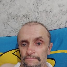 , 53, 