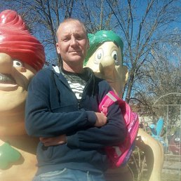 ���� �������, ����������, 41 ��� - ��������� 20 ������� 2026