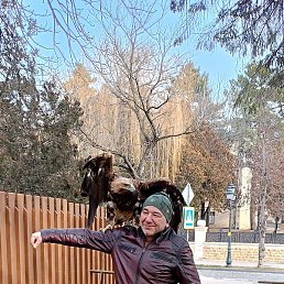 Mehmet, ������, 43 ����